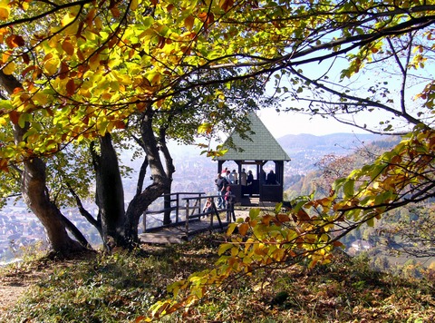 ber den Dchern Ebingens - Schleicherhtte, Galgenfels und Fohlenweide - Albstadt-Ebingen - 21.09.2025 13:30