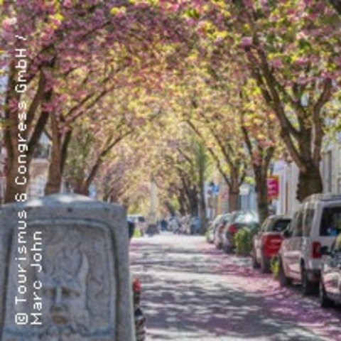 Stadtplanung in Bonn - Ein Spaziergang durch die &#8222;Altstadt&#8220; - BONN - 28.09.2025 14:00