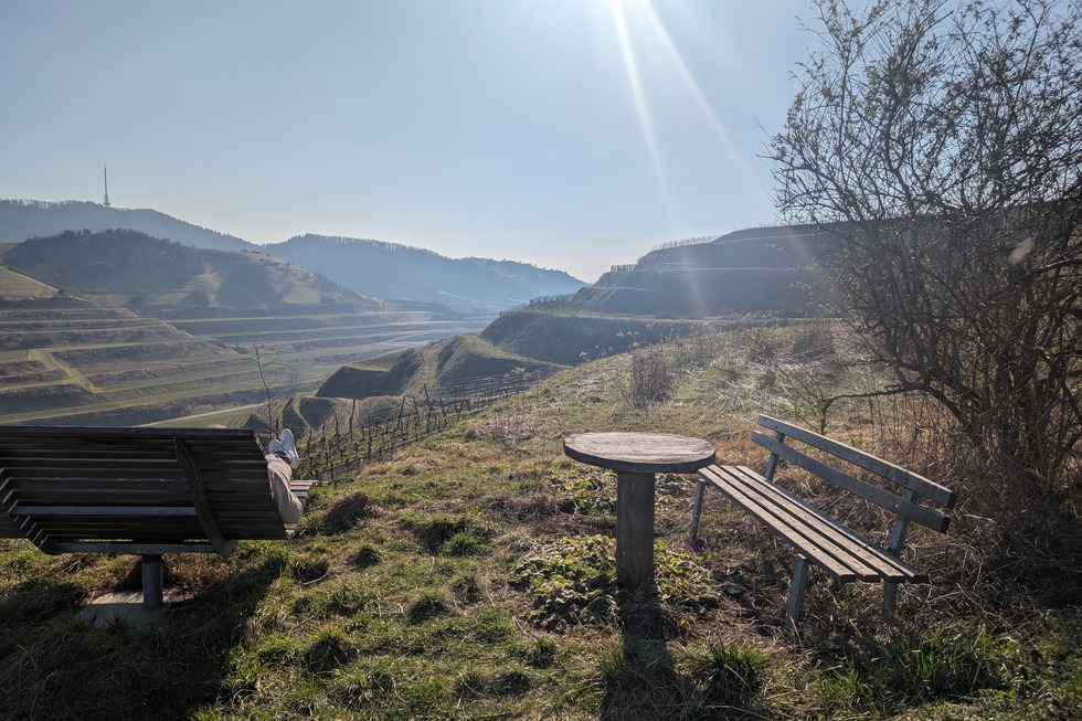 Kleinterrassenpfad Schelingen - Vogtsburg