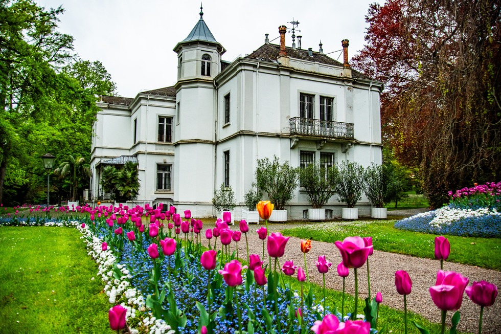 Stadtpark - Lahr