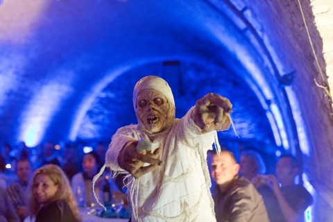 &#8222;Der Fluch des Kaiserschatzes&#8220; - Das Krimidinner im Ingelheimer Winzerkeller - Ingelheim am Rhein - 13.03.2026 19:00