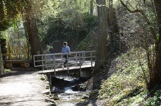 Zhringer Schlucht