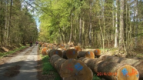 Gefhrte Fahrradtour rund um den Klosterflecken Ebstorf - Ebstorf - 20.09.2025 13:00