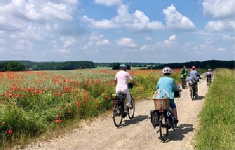 Gefhrte Fahrradtour rund um den Klosterflecken Ebstorf - Ebstorf - 21.06.2025 13:00