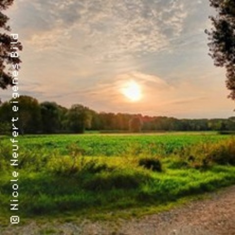 Genieertour - Wildkrutertour - WILLICH - 14.06.2025 11:00