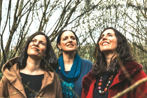 The Henry Girls - Irish Folk & Americana - Hildesheim - 09.05.2025 20:30