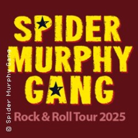 Spider Murphy Gang - Rock&#8217;n Roll Tour 2025 - WRSELEN (BEI AACHEN) - 01.08.2025 19:30