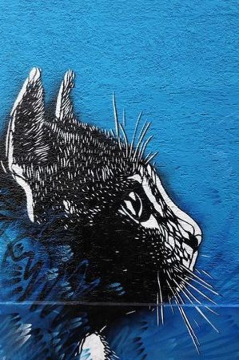 Mit dem Rad die Stadt entdecken - Street Art in Gieen - Gieen - 29.06.2025 11:00