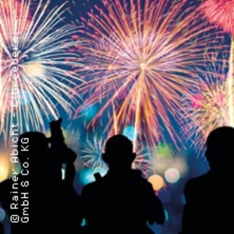 Silvesterfahrt zum Jahreswechsel - HAMBURG - 31.12.2025 22:30