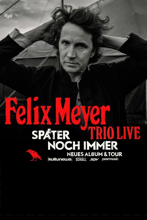 Felix Meyer - mit seinem Album &#8222;Spter noch immer&#8220; - Stralsund - 24.07.2025 20:00