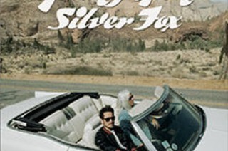Young Gun Silver Fox