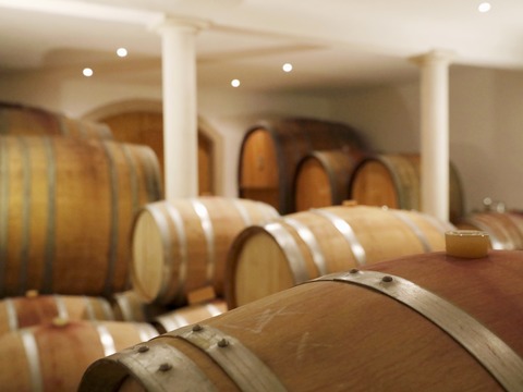 Weinprobe und Kellerfhrung im Bio - Weingut Egon Schmitt - Bad Drkheim - 13.06.2025 14:30