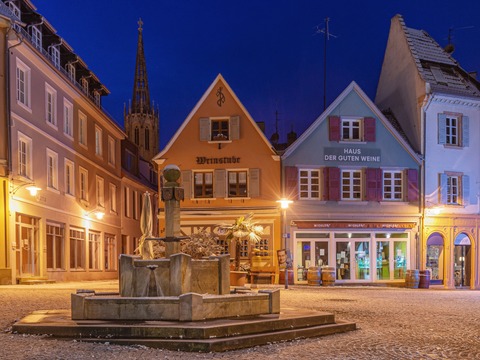 Stadtfhrung Dienstag - mit Abschluss im Stadtmuseum - Bad Drkheim - 13.05.2025 10:30