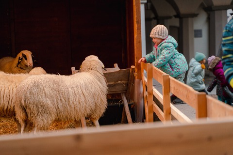 Familienstadtfhrung zur Weihnachtszeit - Wo wohnt das Christkind? - Eine weihnachtliche Familienfhrung durch Leutkirch - Leutkirch im Allgu - 27.12.2025 16:00