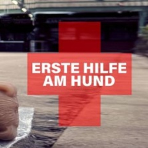 Erste Hilfe am Hund - HAMBURG - 11.05.2025 10:00