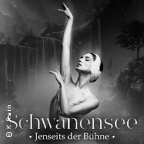 Der Nussknacker - Grand Classic Ballet - live Streichquartett - Augsburg - 31.05.2025 15:00