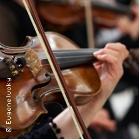 Vivaldi: Die Vier Jahreszeiten - Wiesbaden - 23.11.2025 16:00