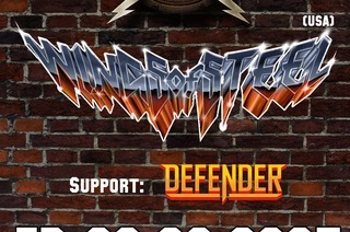 Wings of Steel + Support: Defender