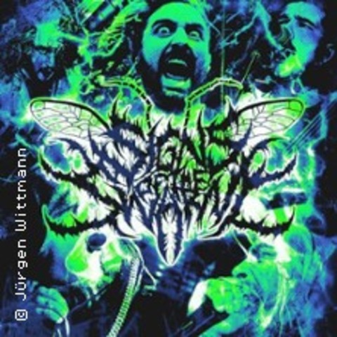 Signs Of The Swarm - CHAM - 12.06.2025 20:00