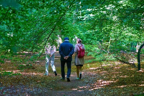 Naturwunder Darwald: Entdeckungstour fr Gro und Klein - Ostseebad Prerow - 19.09.2025 13:00
