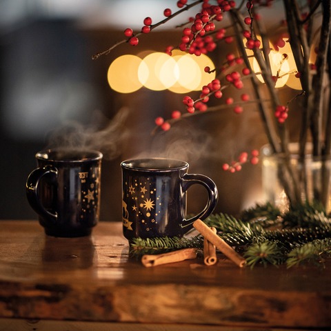 Weihnachtssterne-Abend - Winterliches 3-Gnge Men im Mercedes-Benz Kundencenter Sindelfingen - Sindelfingen - 12.12.2025 18:30
