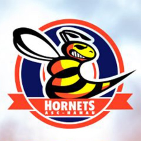 Hanau Hornets vs. Hanau Ravens - HANAU - 13.07.2025 15:30
