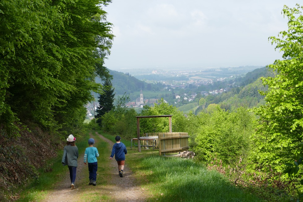 Naturerlebnisweg - Ettenheim