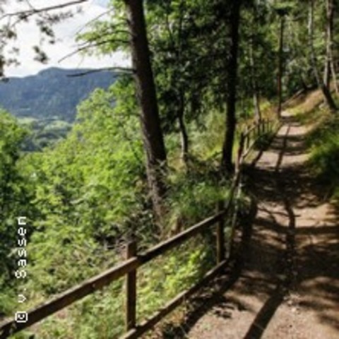 Peter von Sassen - Der Olavsweg, pilgern, wandern, genieen - WENNIGSEN - 21.11.2025 20:00