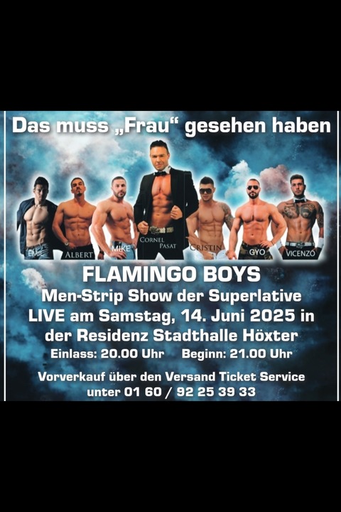 Flamingo Boys - Hameln - 15.06.2025 21:00