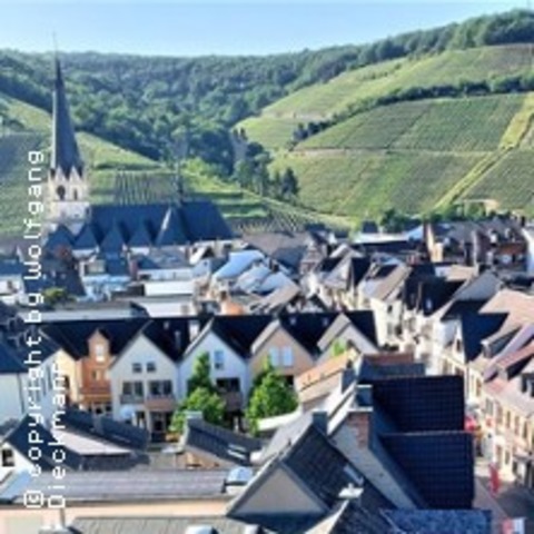 Weinwanderung - BAD NEUENAHR-AHRWEILER - 12.07.2025 11:00