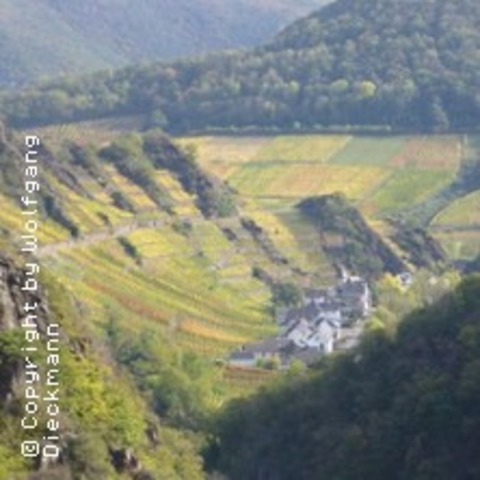 Weinwanderung - ALTENAHR - 21.06.2025 10:00