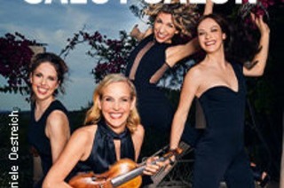 Salut Salon - Heimat