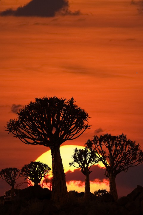 Sdliches Afrika - Namibia, Sdafrika, Botswana, Zimbabwe - Bobingen - 30.10.2025 19:30