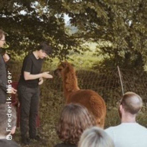 Stark-Strom-Impro & Alpakas - MNSTER - 21.05.2025 18:00