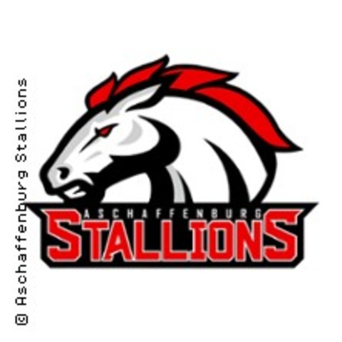 Aschaffenburg Stallions - Bamberg - JOHANNESBERG - 01.06.2025 15:00