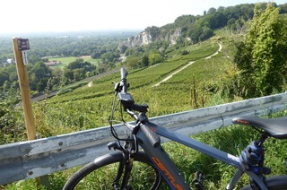 Winzertour mit dem E-Bike