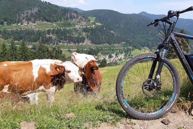 Fernsicht-Tour mit dem E-Bike