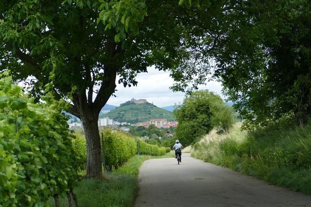 Vom Markgrflerland nach Freiburg (E-Bike-Tour)