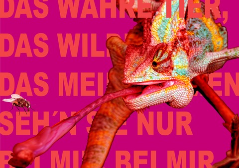 Lulu - Stuttgart - 21.06.2025 19:00