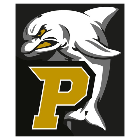 New Yorker Lions - Paderborn Dolphins - Braunschweig - 22.06.2025 15:00