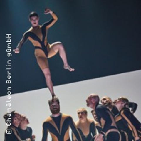 Wolf - BERLIN - 05.12.2025 20:00