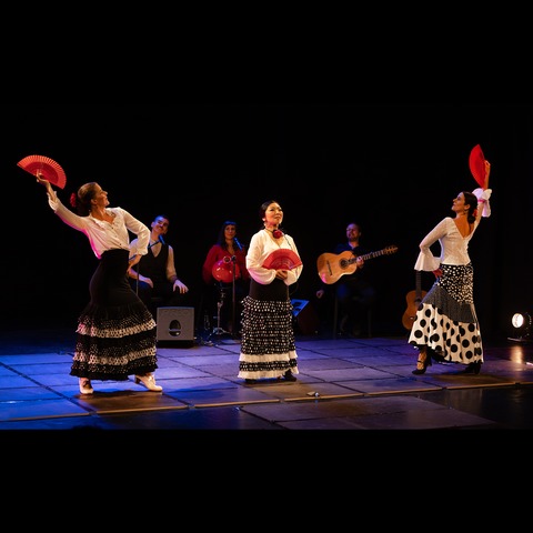 Flamenco - Wiesbaden - 14.05.2025 20:00