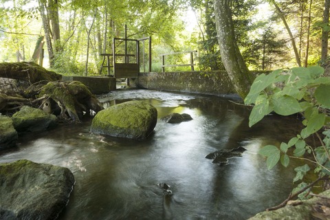 Wasserbauhistorischer Wanderweg entlang des Stillen Bachs - Landschaftsfhrung - Weingarten - 27.07.2025 10:00