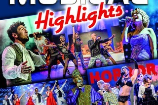Musical Highlights Vol. 17 - Das Beste aus Musical und Film