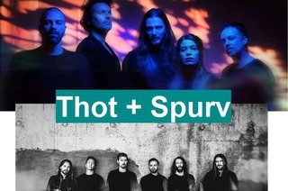 Thot + Spurv