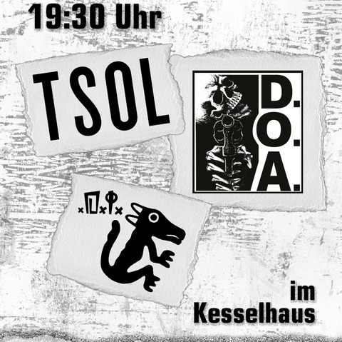 T.S.O.L. / D.O.A. / D.I. - Wiesbaden - 29.07.2025 19:00