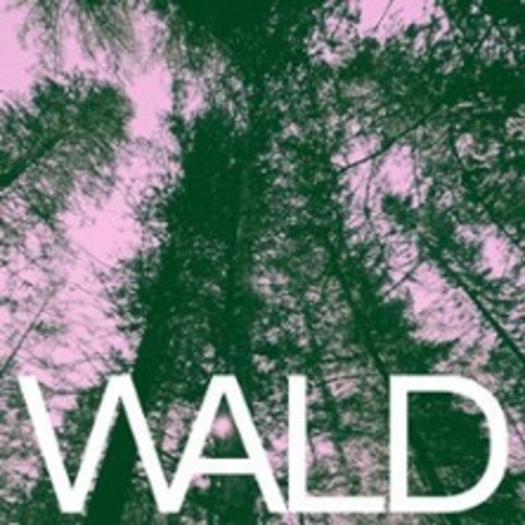 Wald - BERLIN - 28.06.2025 20:00