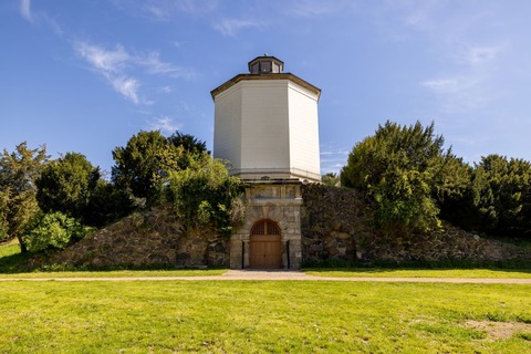 Gefhrte Radtour mit Yoga in freier Natur - Gefhrte Radtour mit Yoga - Dessau - 23.08.2025 13:00
