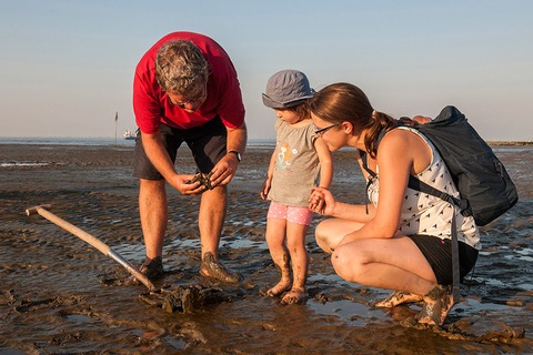 Kinder im Watt - Gefhrte Familien-Wattwanderung im Nordseebad Otterndorf - Otterndorf - 29.08.2025 12:30