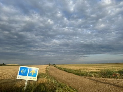 Mein Weg - 780 km zu mir - Freiburg - 03.05.2025 18:15